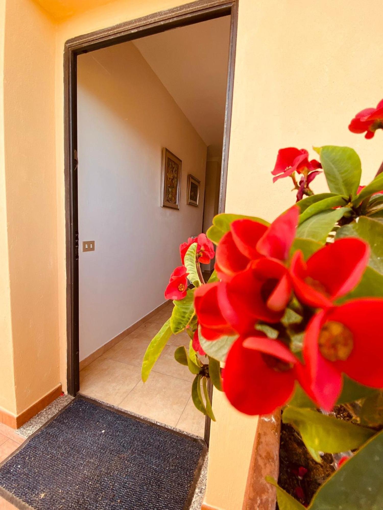 Villa Bella Vista Santa Domenica  Zewnętrze zdjęcie